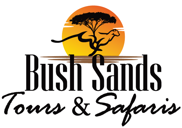 Home | Bush Sands Tours & Safaris